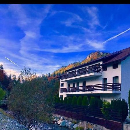 House Of River Моечиу-де-Сус Экстерьер фото